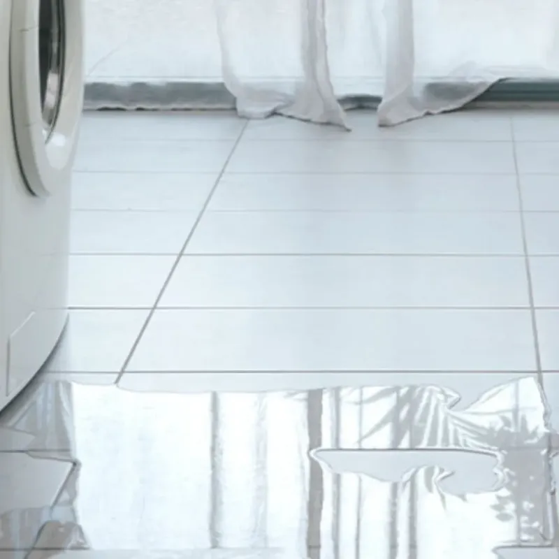 Appliance Leak Cleanup in Green Rock, IL