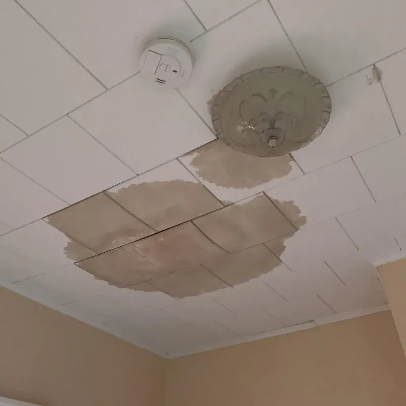 Ceiling Water Damage Repair in Green Rock, IL