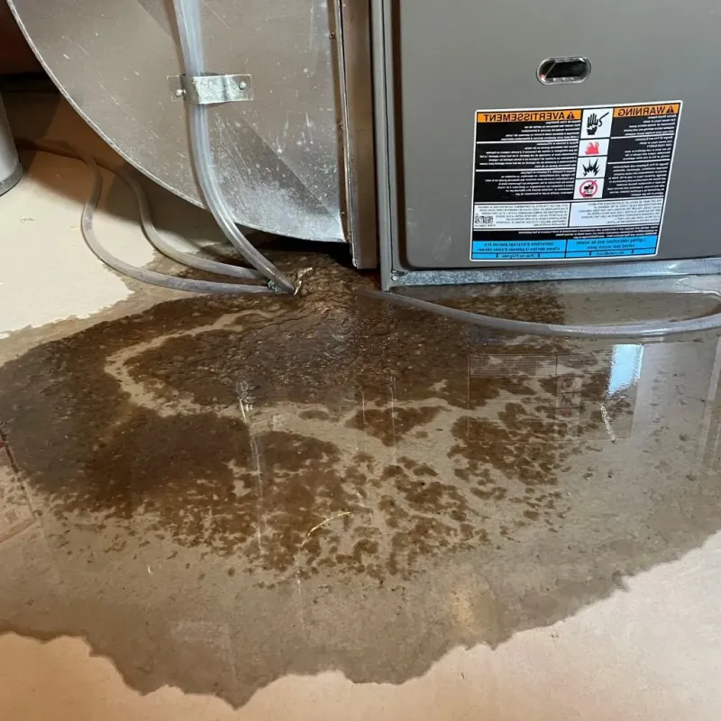 Pipe Burst and Leak Restoration in Green Rock, IL