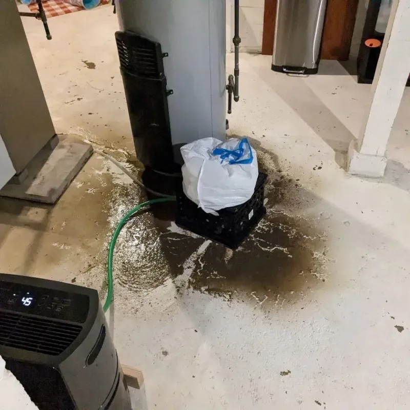Sewage Backup Cleanup Service in Green Rock, IL